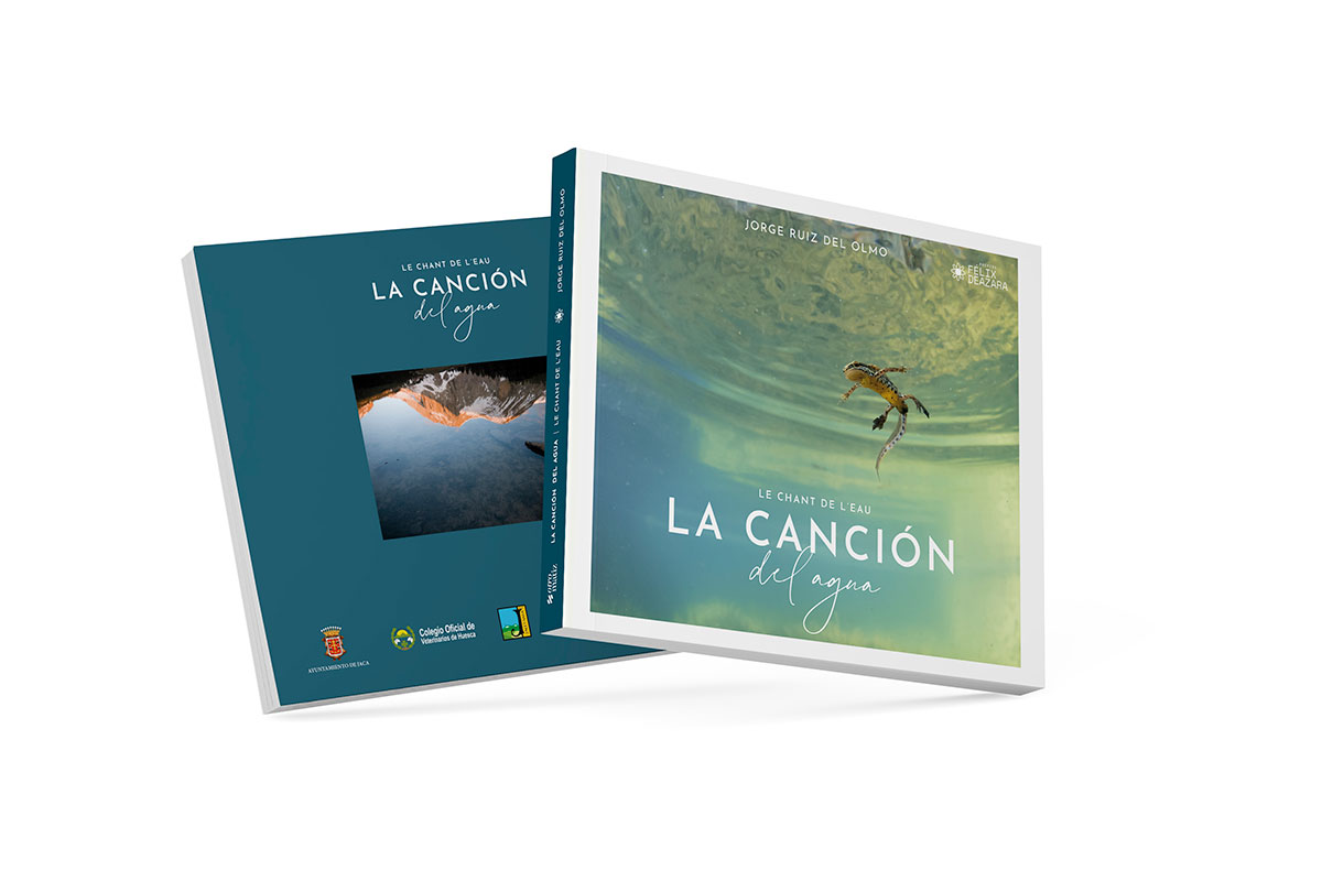 La canción del agua