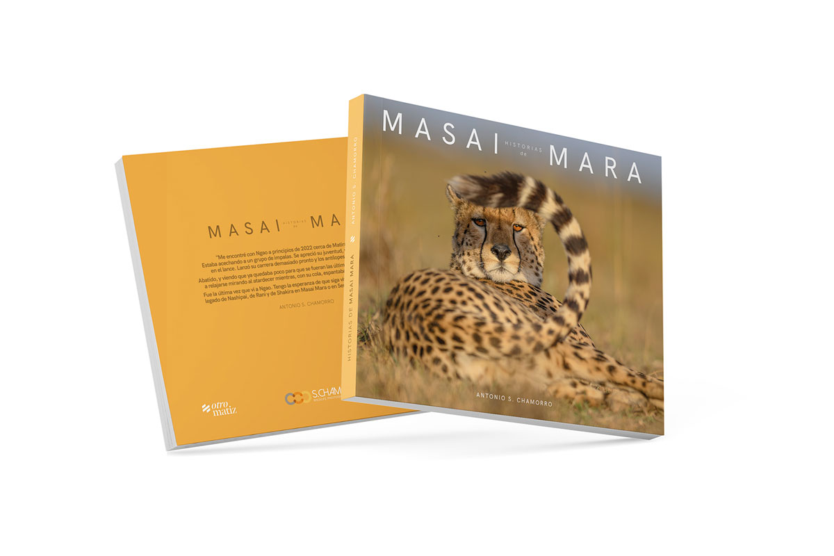 Historias del Masai Mara